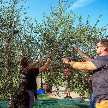 Glamping Diacceroni 3* Villamagna (Pisa)